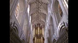 The History of Norwich Cathedral [upl. by Revolc]