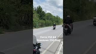 Honda Forza 250 ampamp Kymco Downtown 250 Drag 0120 [upl. by Okuy451]