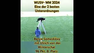 WUSVWM 2024 Eine der 2 besten Unterordnungen Ulrich von der Winterschal 96 Pkt 8Platz [upl. by Diahann]