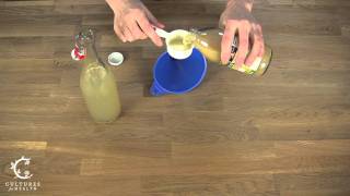 Water Kefir  Lemonade [upl. by Stuart]