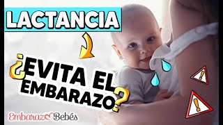 😱❗️¿Me puedo QUEDAR EMBARAZADA dando el pecho  Lactancia [upl. by Kaia188]