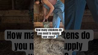 If you never want to run out of eggs… layinghens chickens eggs farmfresheggs homesteading [upl. by Llenral]