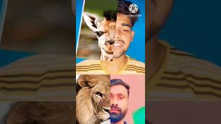 Banyo queen tiktok face reaction compilation funny animals tiktok shorts shortvideo funpxx [upl. by Niveg]