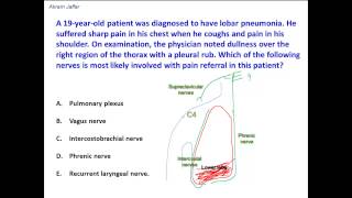 Anatomical basis of pleural referred pain [upl. by Melesa]