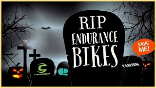 Are Endurance Bikes Dead [upl. by Nnaeirrac]