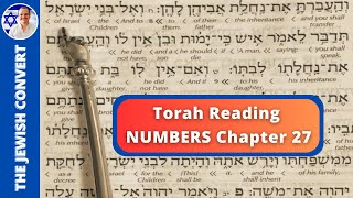 Numbers Chapter 27  Torah Reading in Hebrew with English Translation  TORAH STUDY [upl. by Bernstein211]