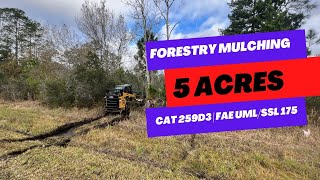 Clearing 5 acres in Florida with Forestry Mulcher for new home build  Tree Shop [upl. by Kurr]