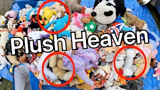 Plush Heaven At The Carboot Sale  Uk eBay Reseller [upl. by Mather952]