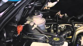 Diesel Fuel Filter Replacement  Nissan Navara [upl. by Samantha78]