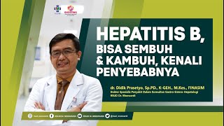 Hepatitis B Bisa Sembuh amp Kambuh Kenali Penyebabnya  Ghosting 05 [upl. by Bohner874]