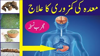 Maday ki kamzori ka ilaj in Urdu  Maida Stomach ki kamzori treatment [upl. by Inod]