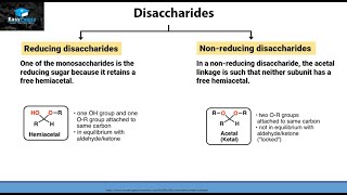 What Are Disaccharides [upl. by Slorac]