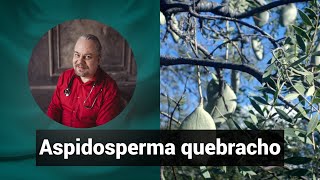 Разбор препарата АСПИДОСПЕРМА КВЕБРАХО ASPIDOSPERMA QUEBRACHO  Гомеопатия и здоровье [upl. by Akcimat]