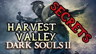 Dark Souls 2 Secrets HARVEST VALLEY [upl. by Cormack]