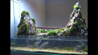 Paludarium 2 Sisi 120x60 Ukuran Besar Moss Asli Tanpa Perawatan Jabodetabek Only Kutualay Custom [upl. by Julita]