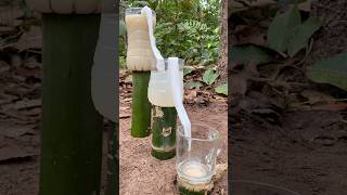 Survival Skills Amazing Dirty Water Purification Filter survival bushcraft camping shorts [upl. by Skyla]