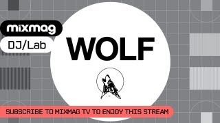 WOLF MUSIC IN THE LAB GREYMATTER  KRL MEDLAR [upl. by Daffodil404]