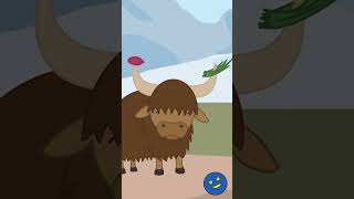 Yak Song Short  Fun Animal Song For Kids │ Smiley Rhymes [upl. by Ahsekim]