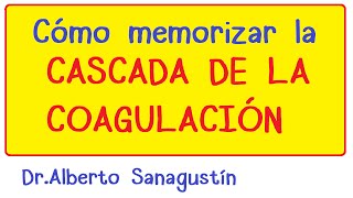 Memoriza la Cascada de la Coagulación Hematología [upl. by Nwahsed]