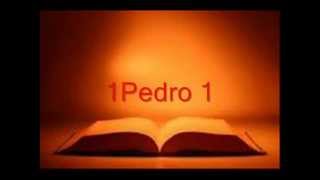 BIBLIA HABLADA 1PEDRO completo RV 1960 [upl. by Ahseiyk]