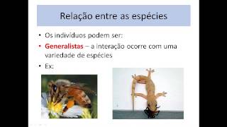 Aula Interações Ecológicas [upl. by Sowell]