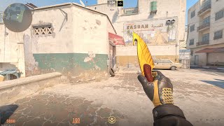 Counter Strike 2 Gut Knife Tiger Tooth  Driver Gloves Overtake Combo [upl. by Coucher]