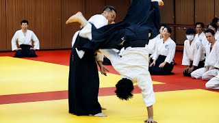 Amazing Aikido in Taiwan [upl. by Ailecra]