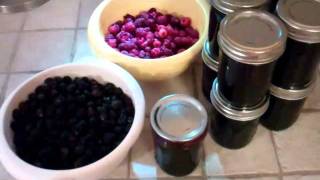 How I make Black Raspberry Jelly [upl. by Noskcire812]