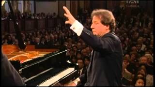 Mozart Piano Concert Nr 24 c Moll KV 491 Rudolf Buchbinder Piano amp Conducter Wiener Phi [upl. by Ylatfen]