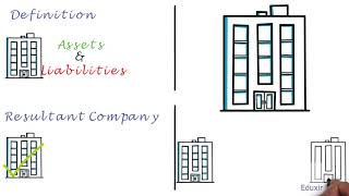 Differences Between Consolidation and Merger [upl. by Pliam]