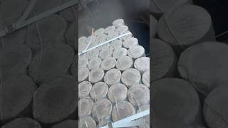 FuelBriquette Firewood Biofuel Heating Fireplace Wood Production Woodworking Ukraine Timber [upl. by Sternlight]