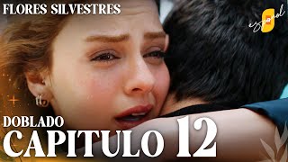 Flores Silvestres  Yaban Çiçekleri – Capítulo 12  Doblado al Español [upl. by Naerb979]