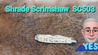 Schrade Scrimshaw SC503 [upl. by Ttelracs]