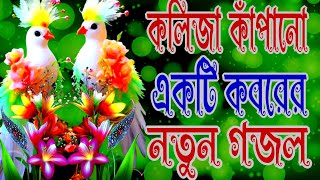 মন কাঁপানো একটি কবরের সেরা গজল Mon kapanu koborer Shera gojol [upl. by Ahsaeit]