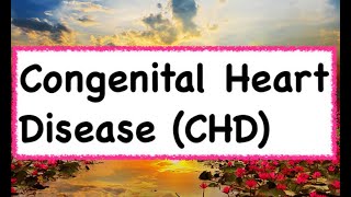 Congenital Heart Disease CHD  Hindi amp English [upl. by Akienaj]