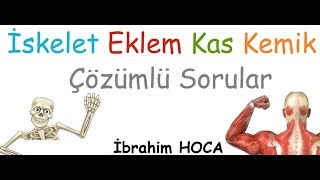 4 Sınıf Fen Bilgisi İskelet Kemik Eklem Kas [upl. by Netsrak]