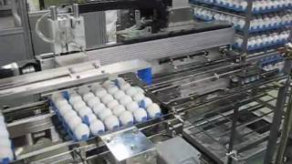 Robotic Carton Loader [upl. by Xever]