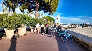 Cannes Walking Tour 8 October ProvenceAlpesCôte dAzur France 4K 60fps [upl. by Shirlie]