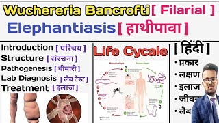 Wuchereria Bancrofti  Filarial Worm  Elephantiasis  हाथीपावा  Parasitology Notes  Microbiology [upl. by Salomon372]