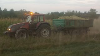 kukurydza na kiszonkę⭐ Claas Jaguar 900 ⭐ Zetor ⭐ Ursus⭐ Valtra ⭐ Massey Ferguson [upl. by Dnesnwot]