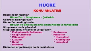 7Sınıf Hücre hücrenin kısımları hücre zarı çekirdek sitoplazma hücre ve bölünmeler Konu Anlatımı 1 [upl. by Andreas]