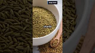 Amazing Health Benefits of Cumin Seeds  Boost Digestion amp Lose Weight with Jeera [upl. by Agnese]