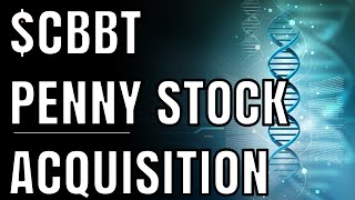 CBBT Cerebain Biotech Penny Stock  MASSIVE Acquisition Catalyst [upl. by Lorelei712]