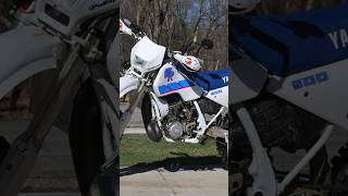 The Yamaha WR500 A rare beauty part 1 dirtbike moto vintagemoto [upl. by Enelhtac]