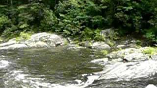 Chattooga River  Big Bend  hikingsouthcom [upl. by Niwrek]