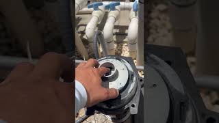 How to unclog or clean pool impeller the easy way [upl. by Natale480]