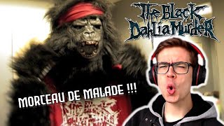 THE BLACK DAHLIA MURDER  STATUTORY APE  Passé Décomposé EP43 [upl. by Ivy]