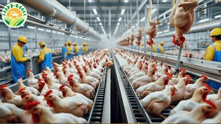 How American Farmers Raise Modern Broilers  Chicken Incubation Technology  Farming Documentary [upl. by Agnella]