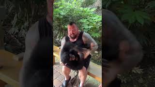 ARE CHIMPS TICKLISH  Eddie Hall [upl. by Einimod]