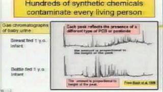 What Are Dioxins And What Are They Doing In My Food [upl. by Holladay]